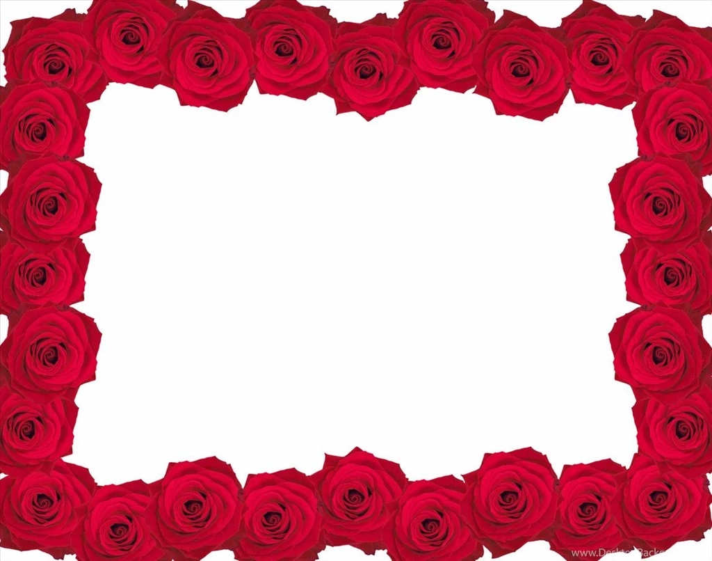 Pictures > Powerpoint Backgrounds Rose