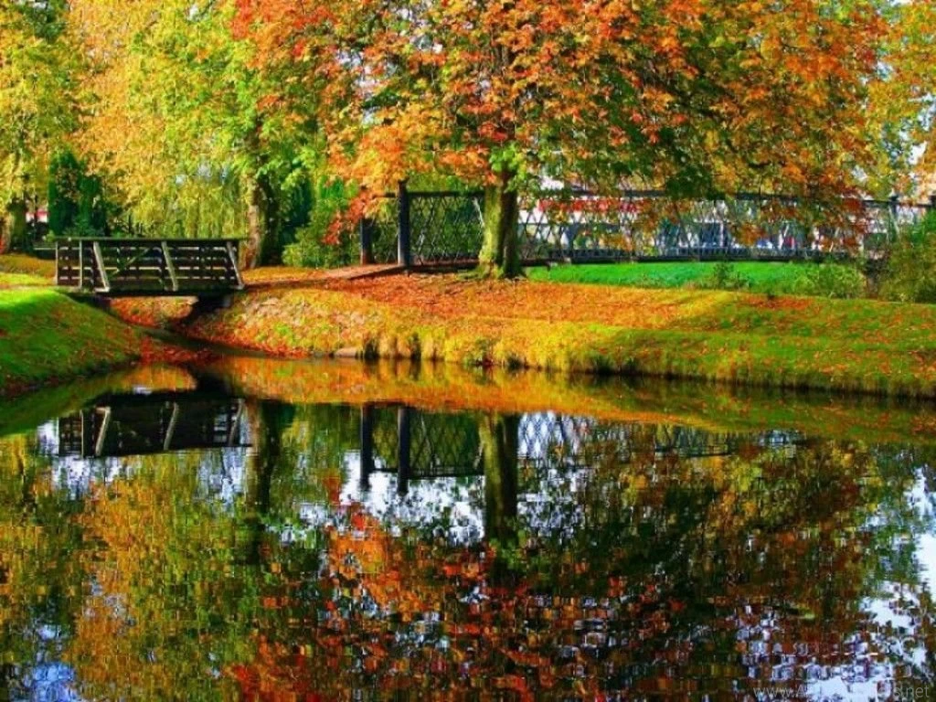 Free Autumn Screensavers Wallpapers   Wallpapers Cave