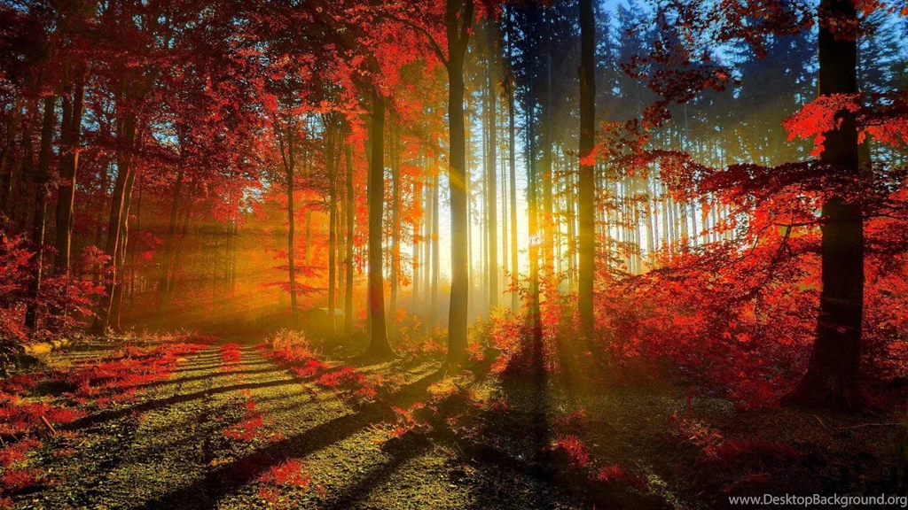 Free Autumn Screensavers Wallpapers Wallpapers Cave