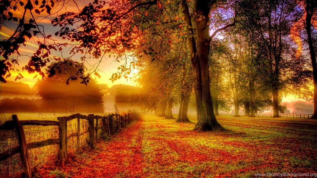 Free Nature Wallpapers With Colorful Autumn Forest