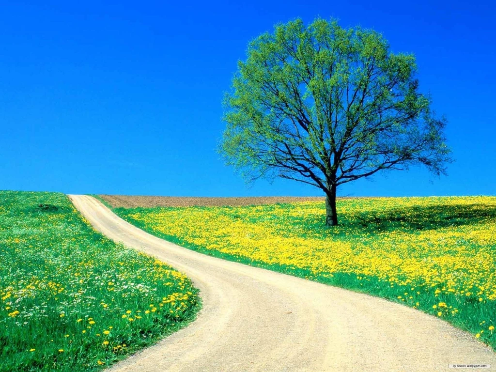 Free Wallpapers Free Nature Wallpapers Wonderful Green Nature ...