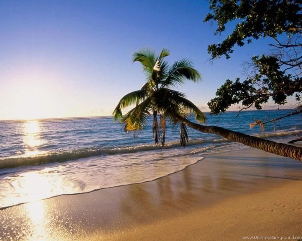 Nature Wallpapers, Nature Backgrounds, View, Widescreen, Mac ...