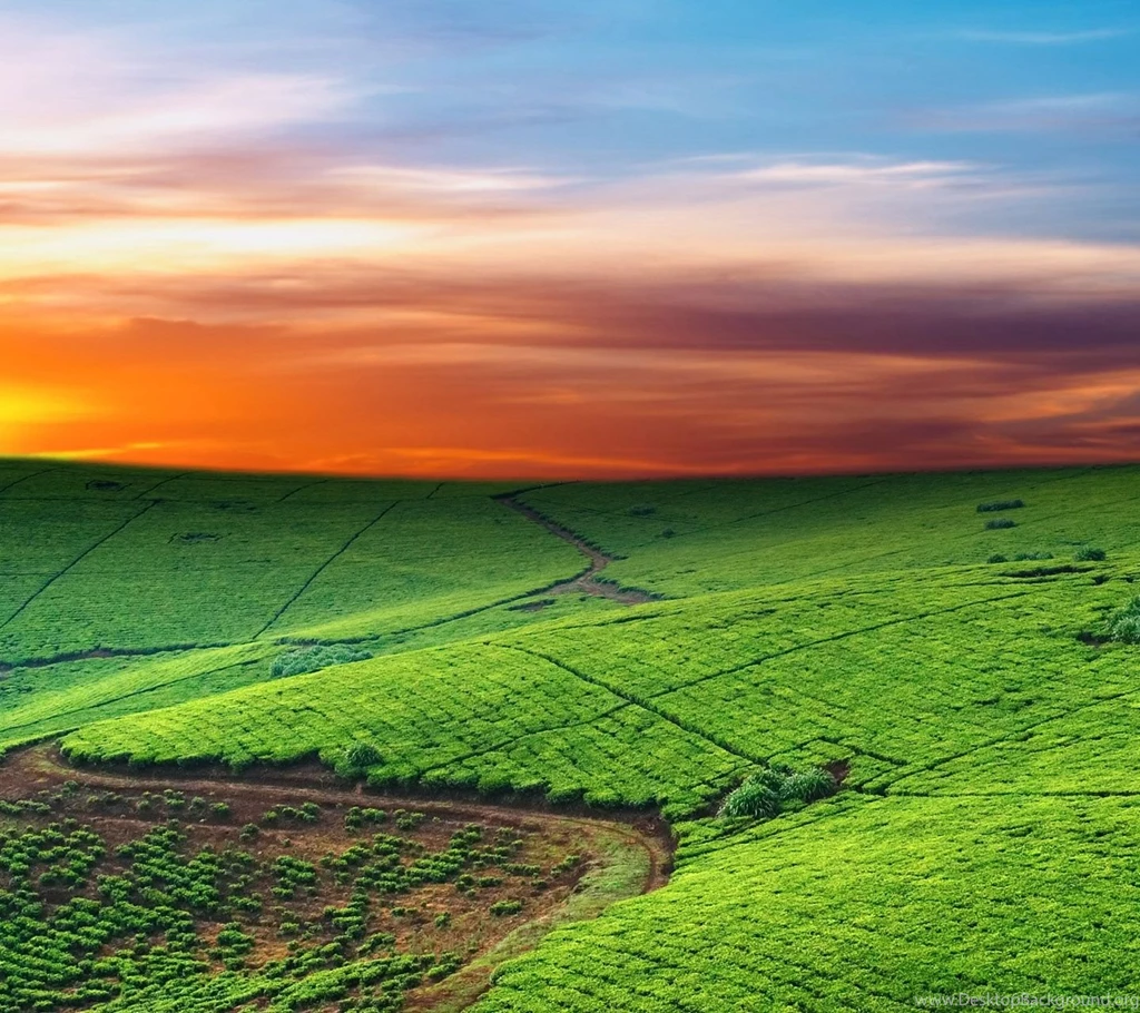 HTC Wallpapers, HTC Backgrounds