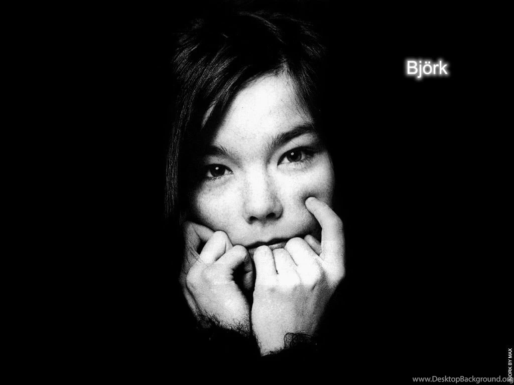 Bjork Photos HisBir