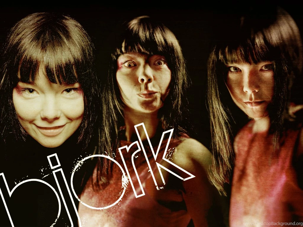 Björk   Björk Wallpapers (688199)   Fanpop