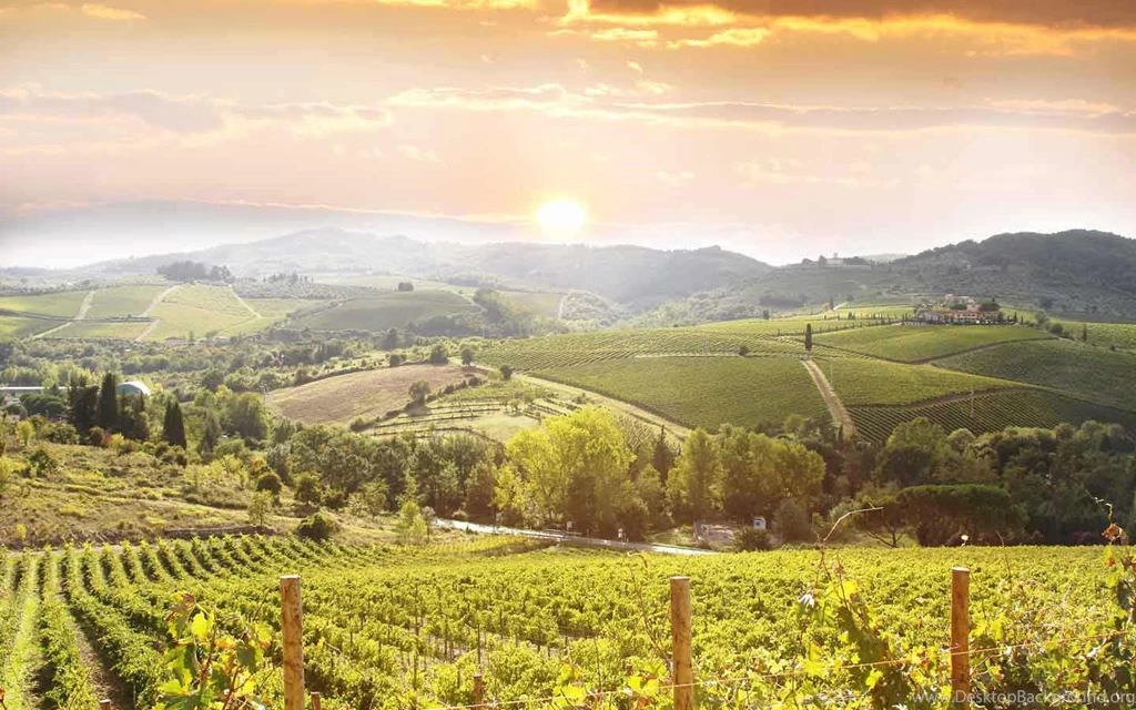 Somerset toiletry farm backgrounds   The Somerset Toiletry Company ...