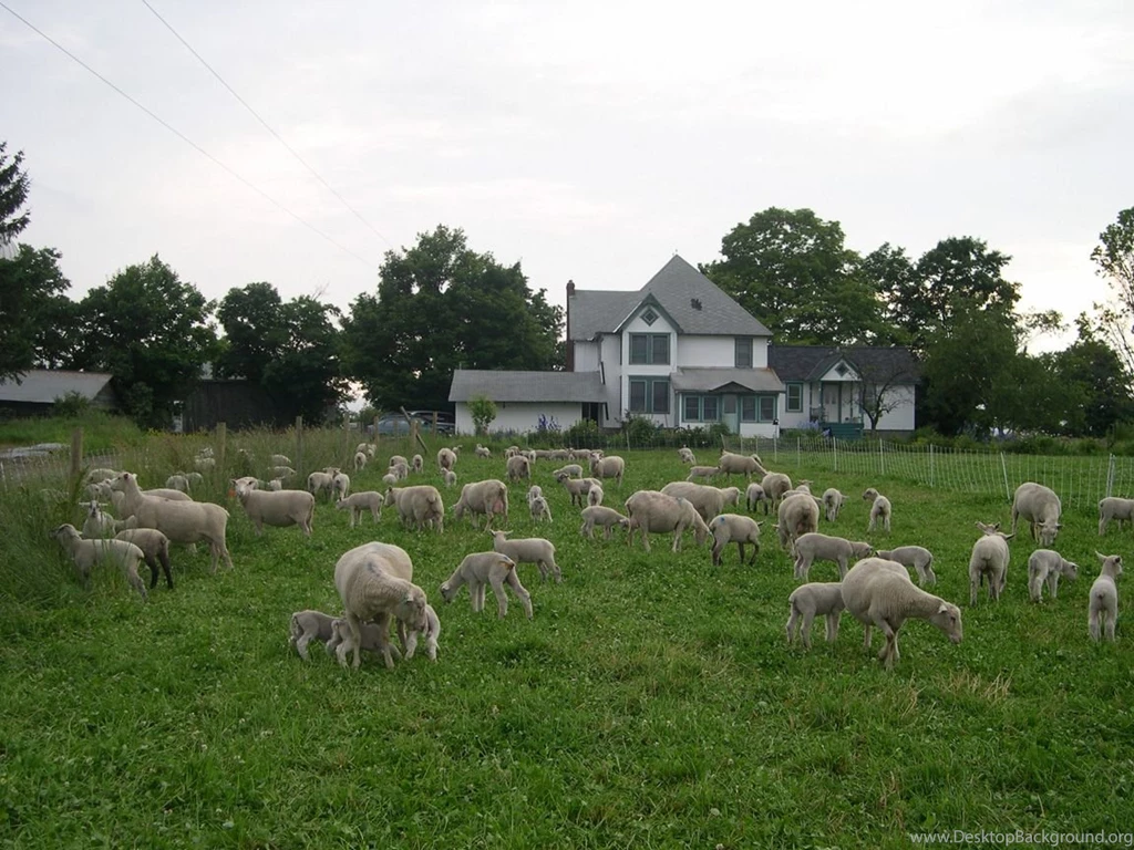 Farm Backgrounds