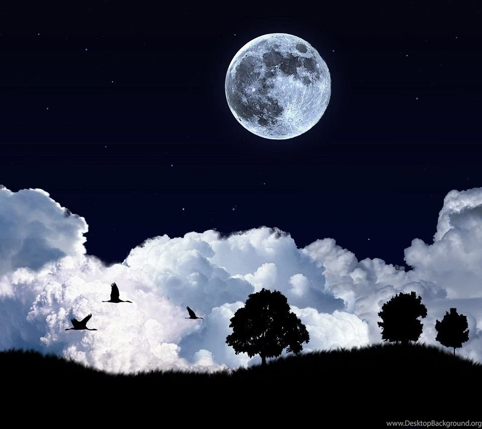 Moon Night Birds Android mobile phone wallpaper HD 960x800.jpg