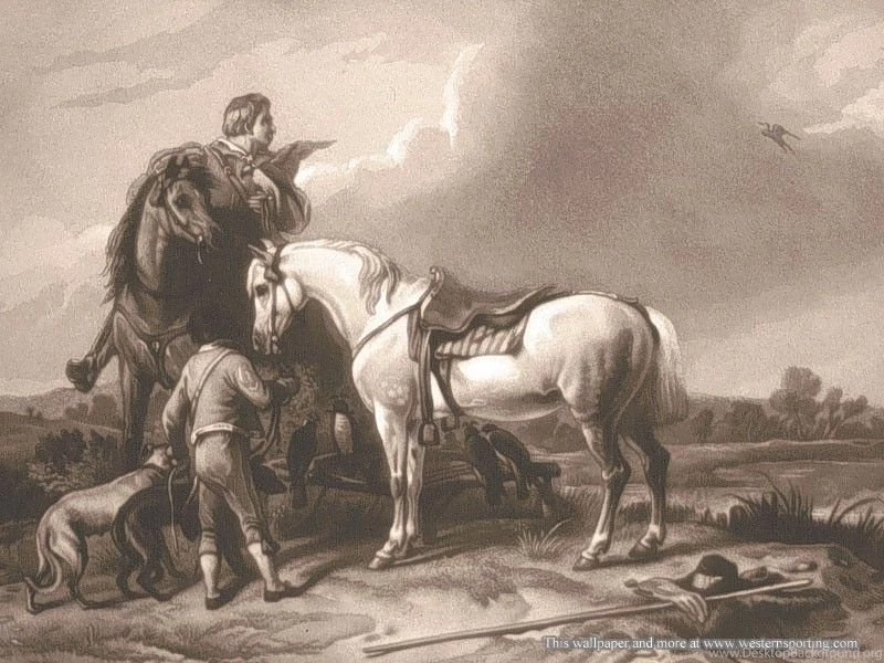 FREE Desktop Wallpapers Western Sporting