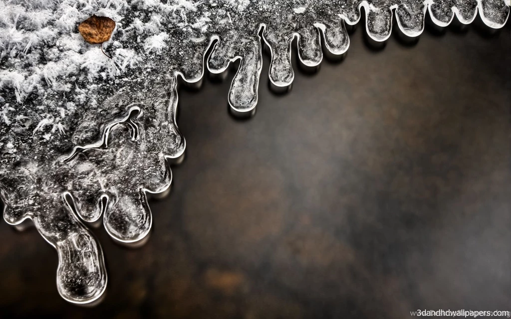 Black Backgrounds White Water In Single Leaf HD Wallpapers ...