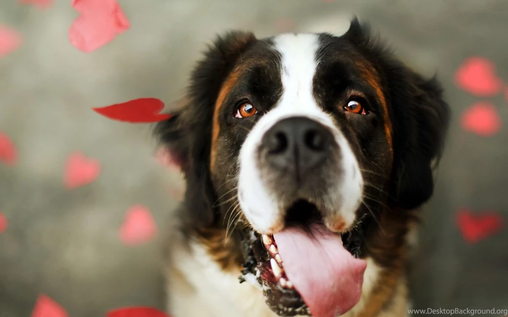 Download Cute Dog Wallpapers For Windows