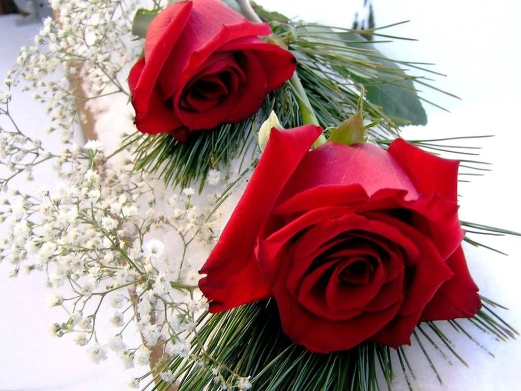 Valentine Roses Wallpapers: Beautiful By Free Download Best HD ...