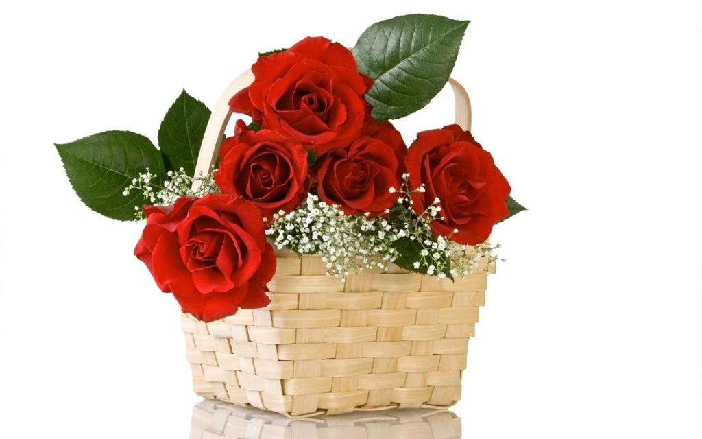 Free Fresh Valentine's Day Rose Picture Wallpapers Wallpapers HD ...