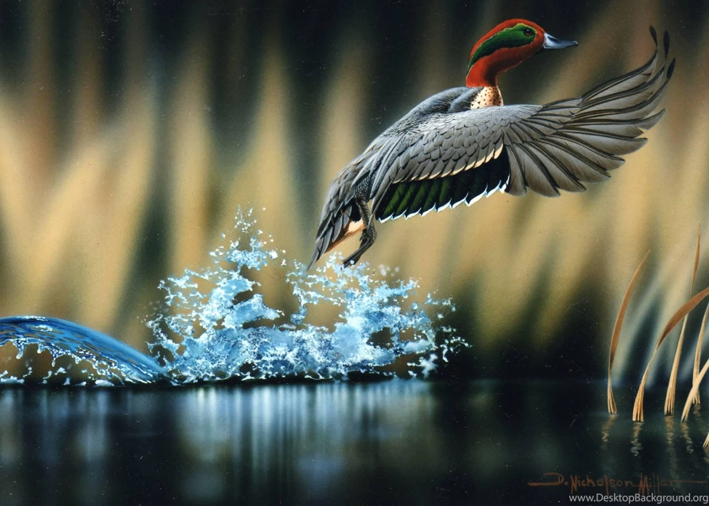 Wildlife Wallpapers HD Wallpapers
