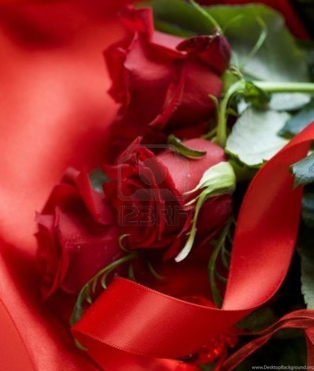 Valentine Rose Pictures 2014 Hd Wallpapers 1080