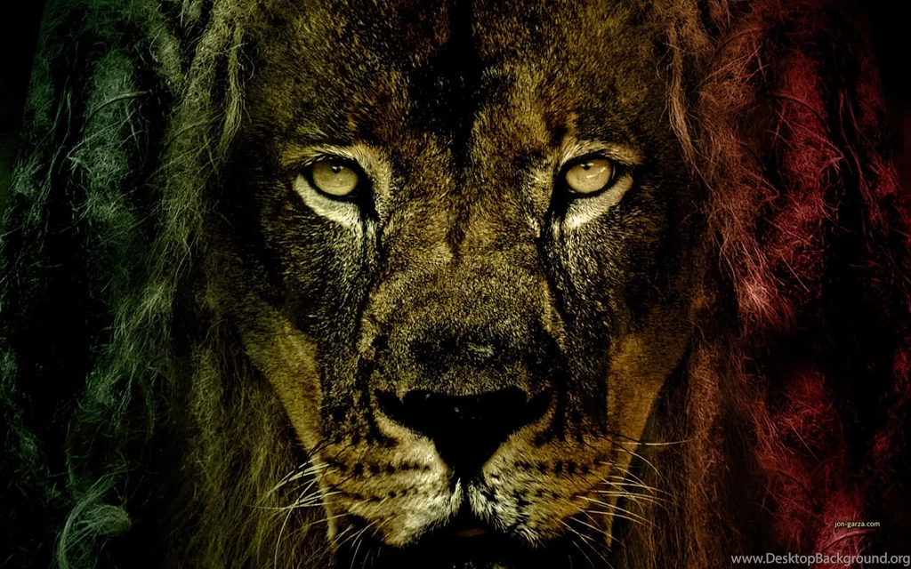 Bob Marley Lion Wallpapers < Images & Galleries