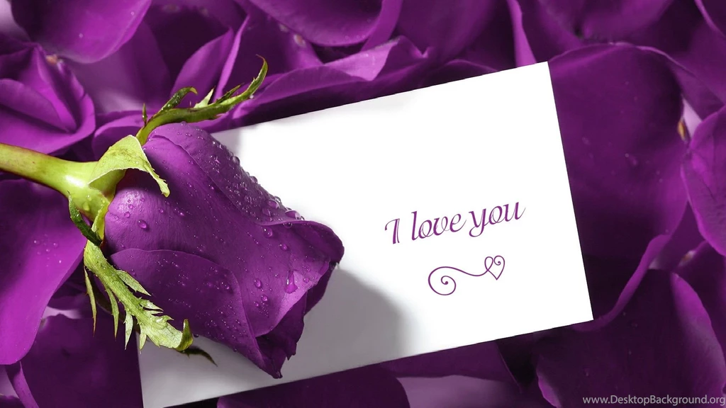 Download I Love You Wallpapers Picture