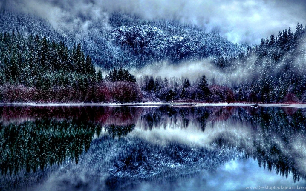 Winter Forest Desktop Wallpapers HD Wallpaper Backgrounds Of ...