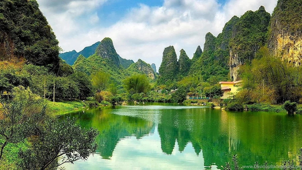 Nature W 2.jpg