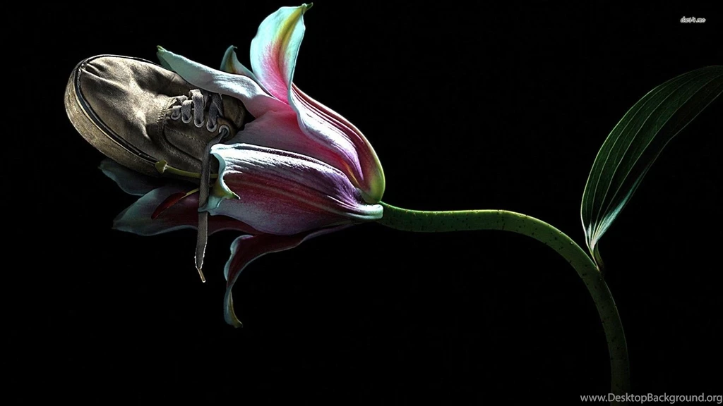 Sneaker In A Lily Wallpapers Digital Art Wallpapers