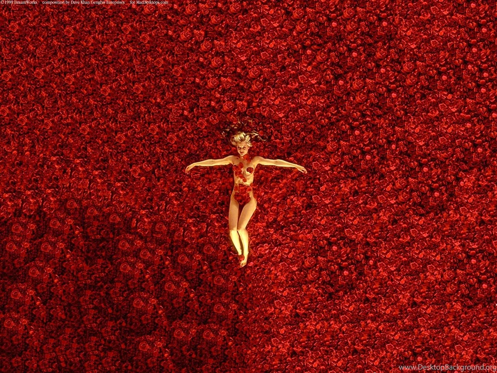 American Beauty Wallpaper, American Beauty Photos, New Wallpapers