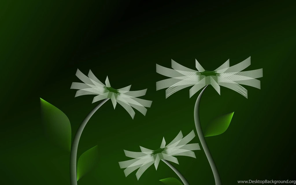 3D Hd Wallpapers Flowers Wallpapers 1170038