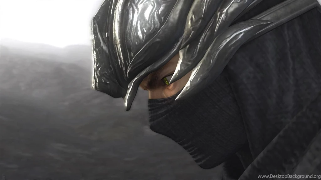 RYU HAYABUSA WALLPAPER (