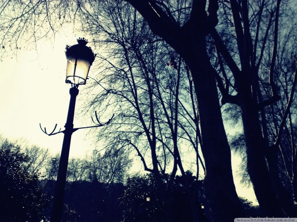 Light In The Dark HD Desktop Wallpapers : High Definition : Mobile