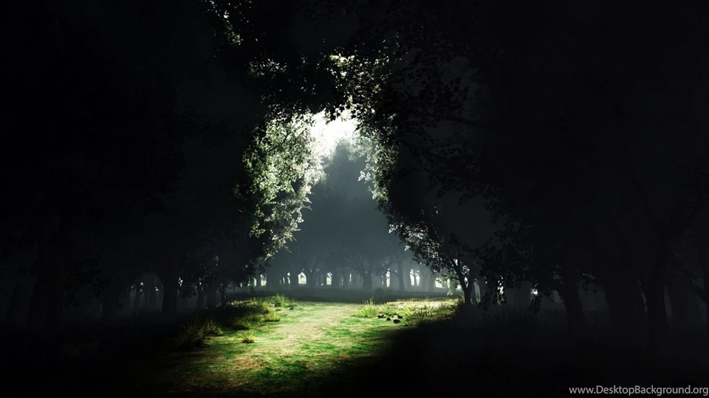 1920x1080 Sun Light Between Dark Forest Desktop PC And Mac Wallpapers