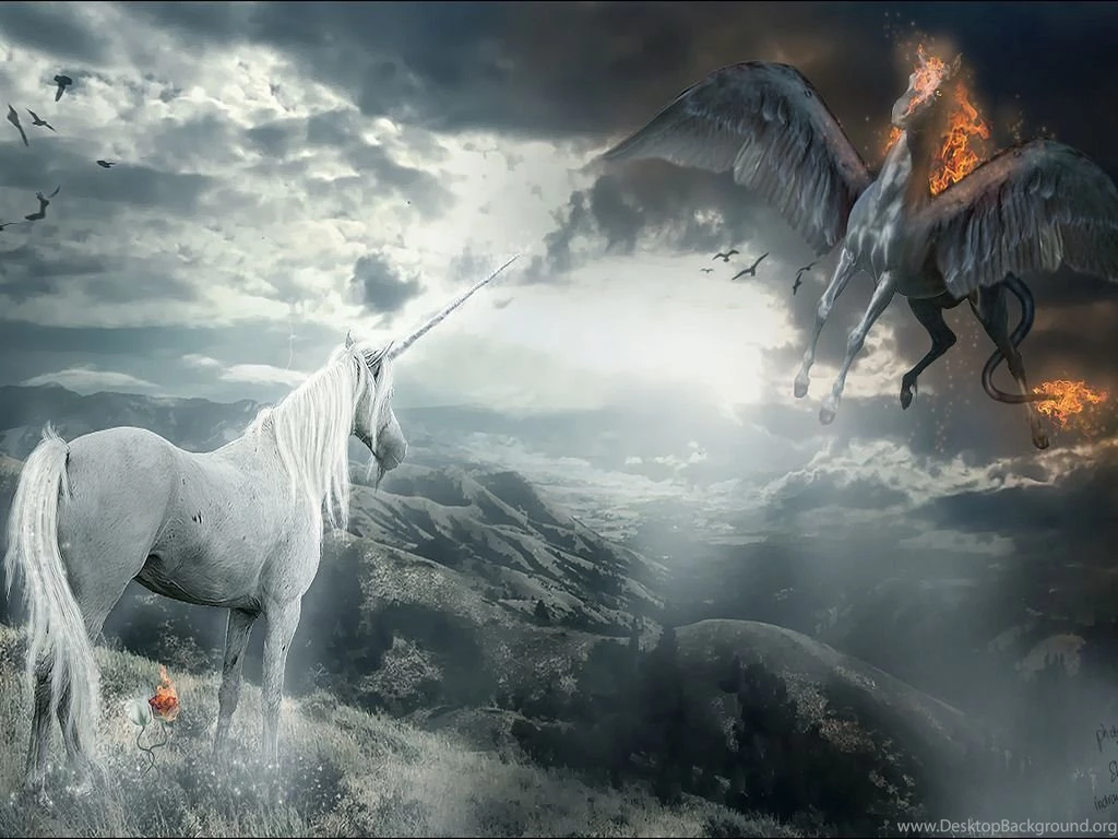 Wallpapers Light And Dark Vs Edhgg .4 1024x768