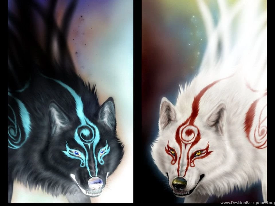 Dark vs light wallpaper 0m6by jpg.jpg (960×720)