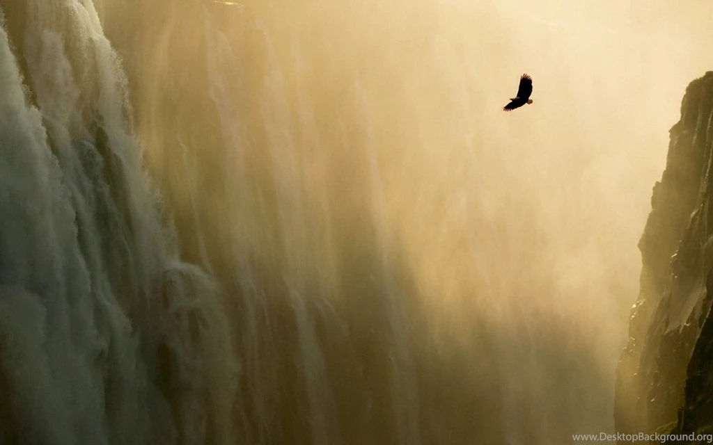 Apple Mac OS X Lion System Wallpapers 29779 Desktop Wallpapers ...