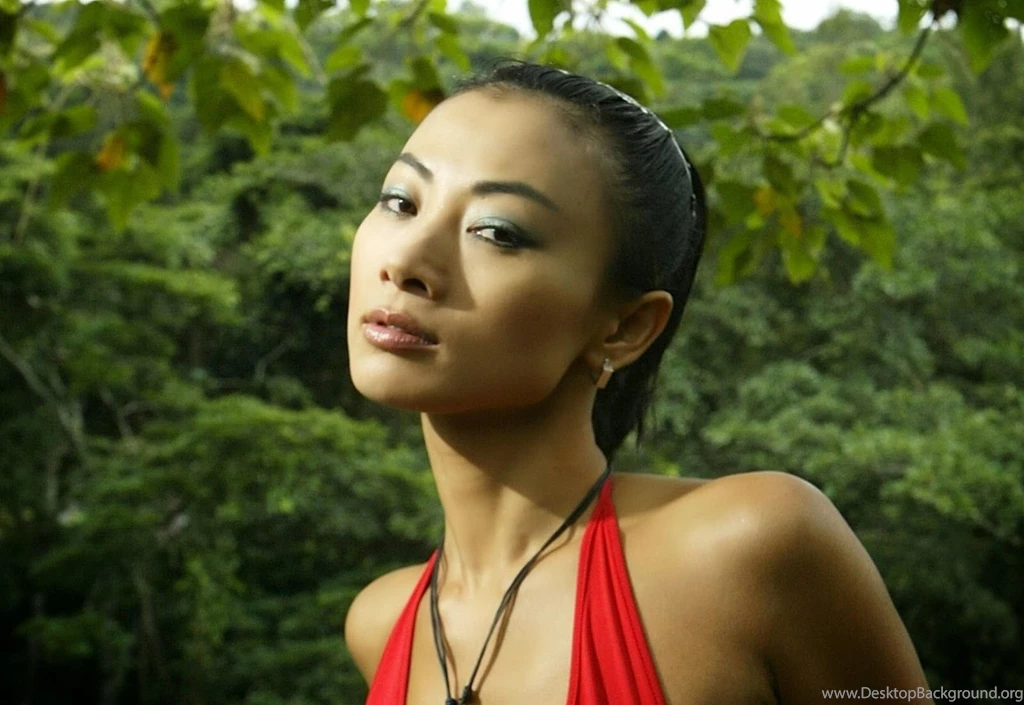 STARS WALLPAPER: Bai Ling Wallpapers Free Download