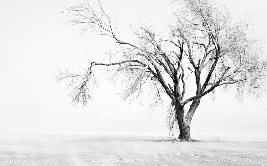 Deserted Computer Wallpapers, Desktop Backgrounds