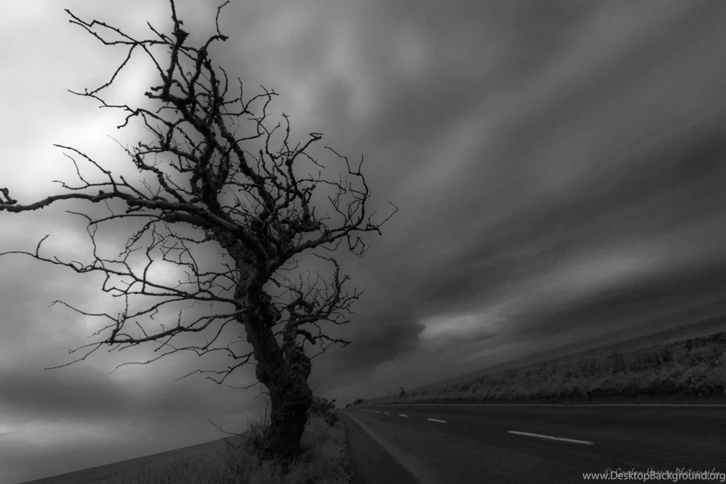 Dead Tree By Fatgordon0 On DeviantArt