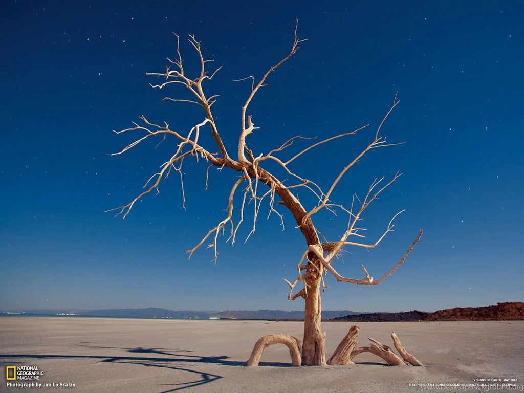 Photography Desktop Wallpapers National Geographic Magazine