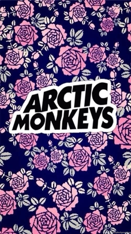 Arctic Monkeys Image