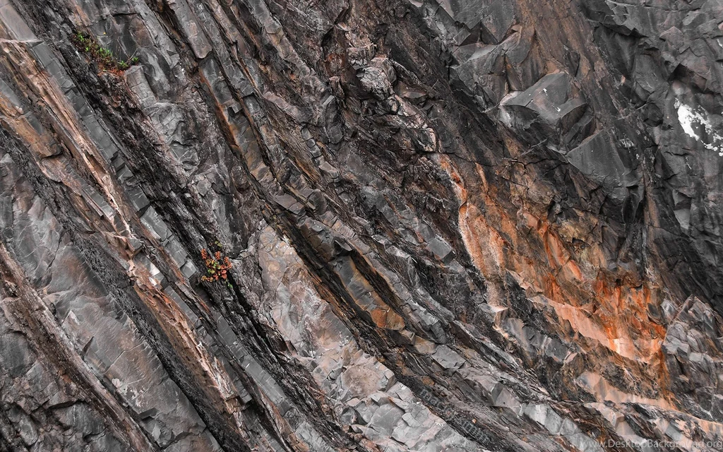 Rocks, Life, 1920x1200 HD Wallpapers And FREE Stock Photo