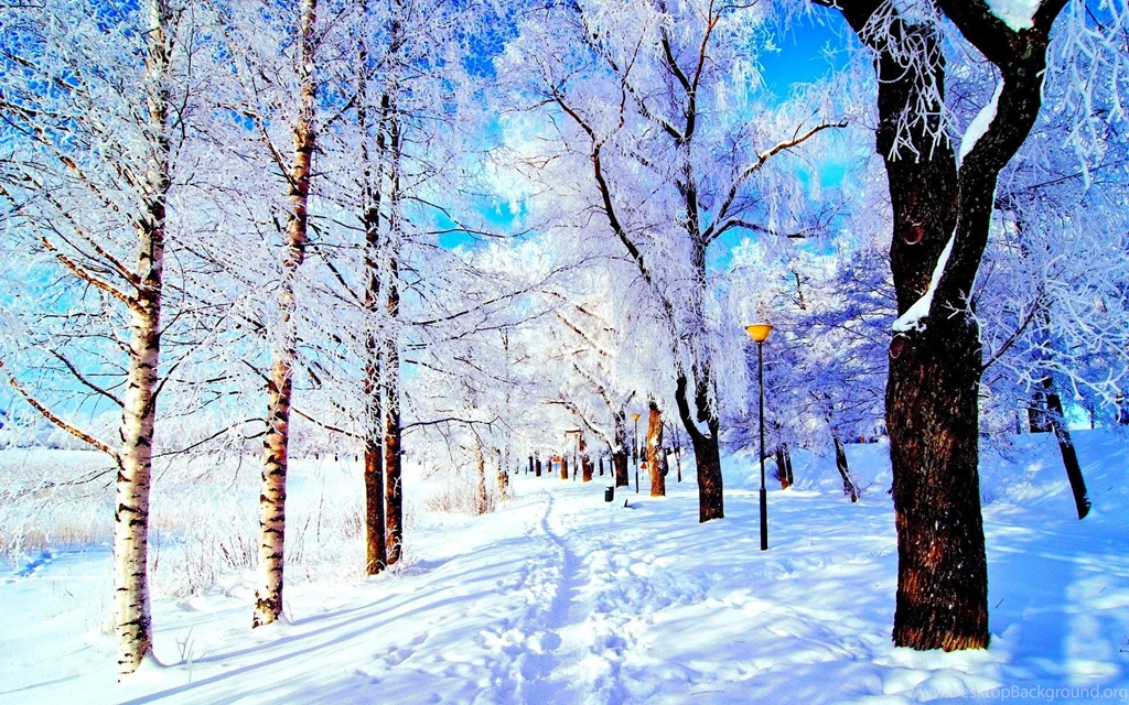 Winter Park HD Desktop Wallpapers : Widescreen : High Definition ...