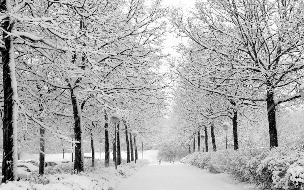 Pretty Winter Wallpapers   62250