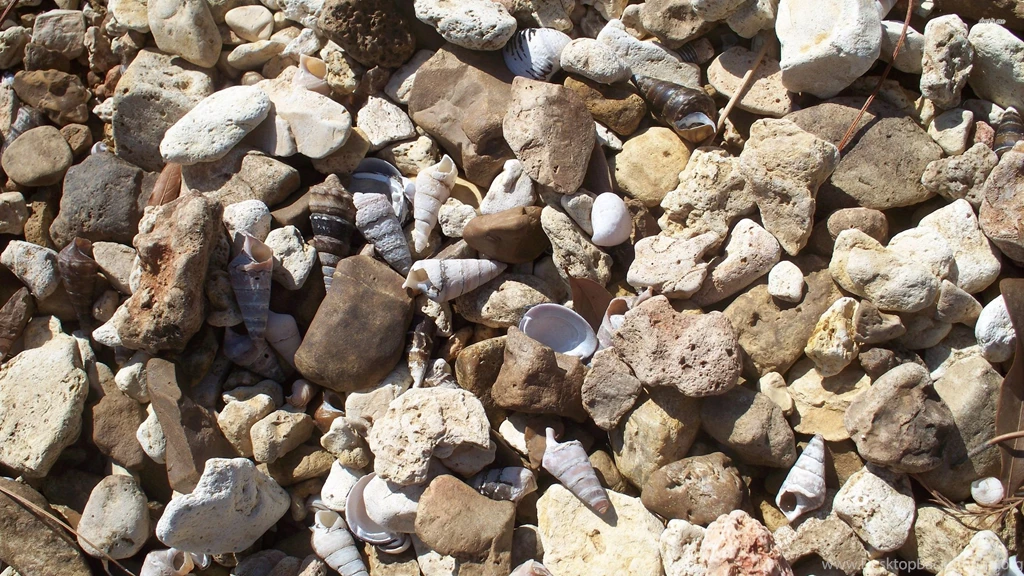 Shells And Rocks Wallpapers   Photography Wallpapers