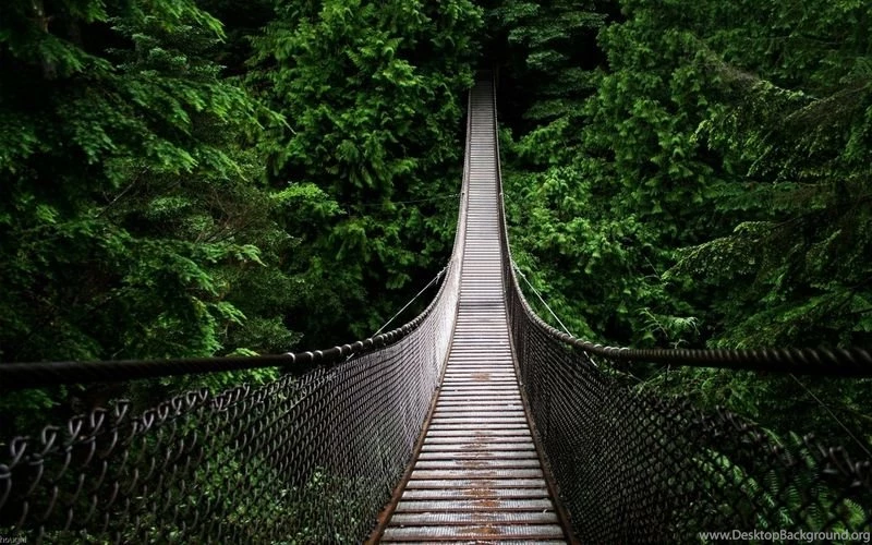 Cable High Swinging Bridge – Architecture Bridges HD Desktop Wallpapers