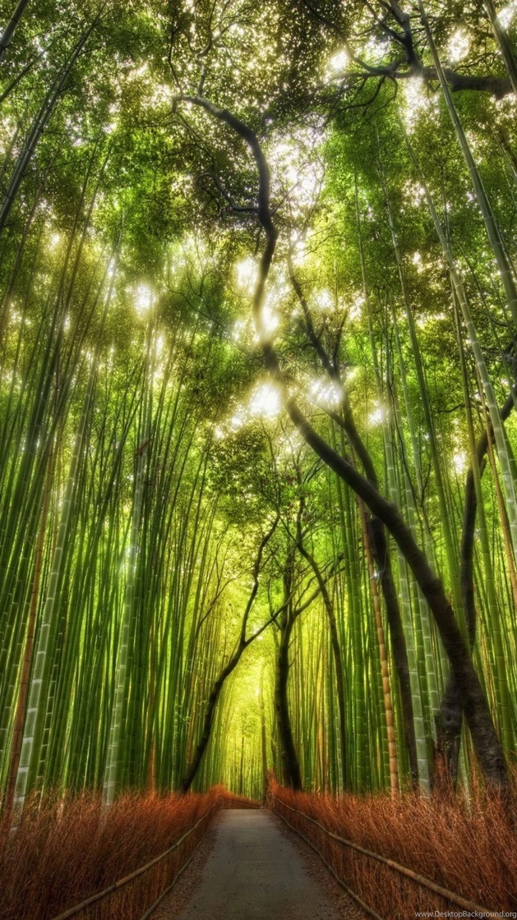 Download Wallpapers 1080x1920 Bamboo, Wood, Tops, Track Sony Xperia ...