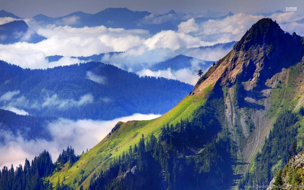 Mountain Tops Mixing With The Clouds Wallpapers   Nature Wallpapers ...