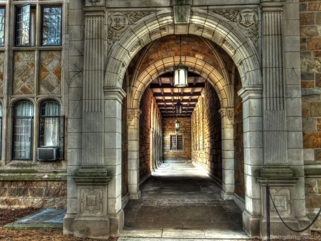 Thirteen 535 University Of Michigan Fan On Pinterest