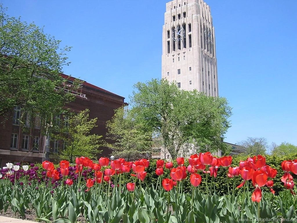 Umich Law School University Of Michigan