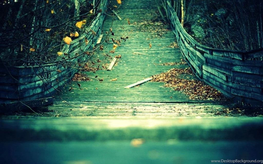 Charming Light Mac Wallpapers Download