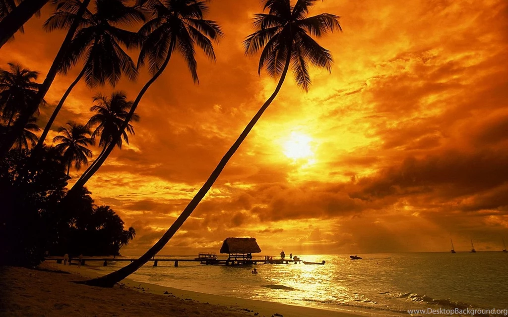 Tropical Sunset Wallpapers   Beach Wallpapers