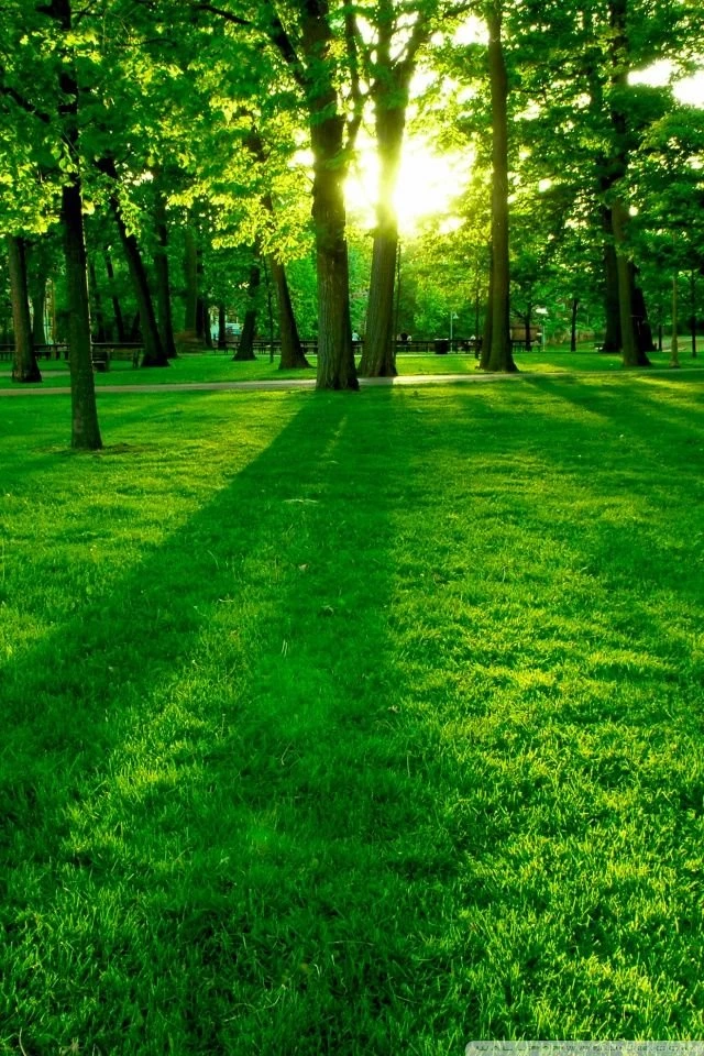 Park_4 wallpaper 640x960.jpg