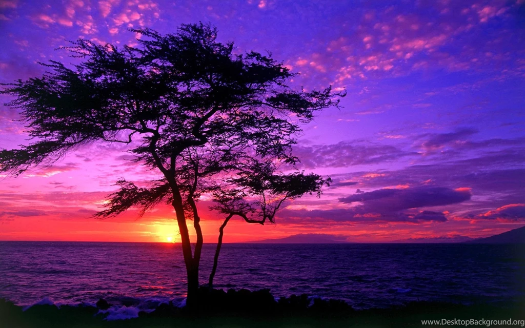 Sunset On The Beach Computer Wallpapers, Desktop Backgrounds ...